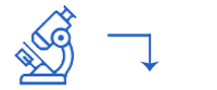 Execution and Implementation